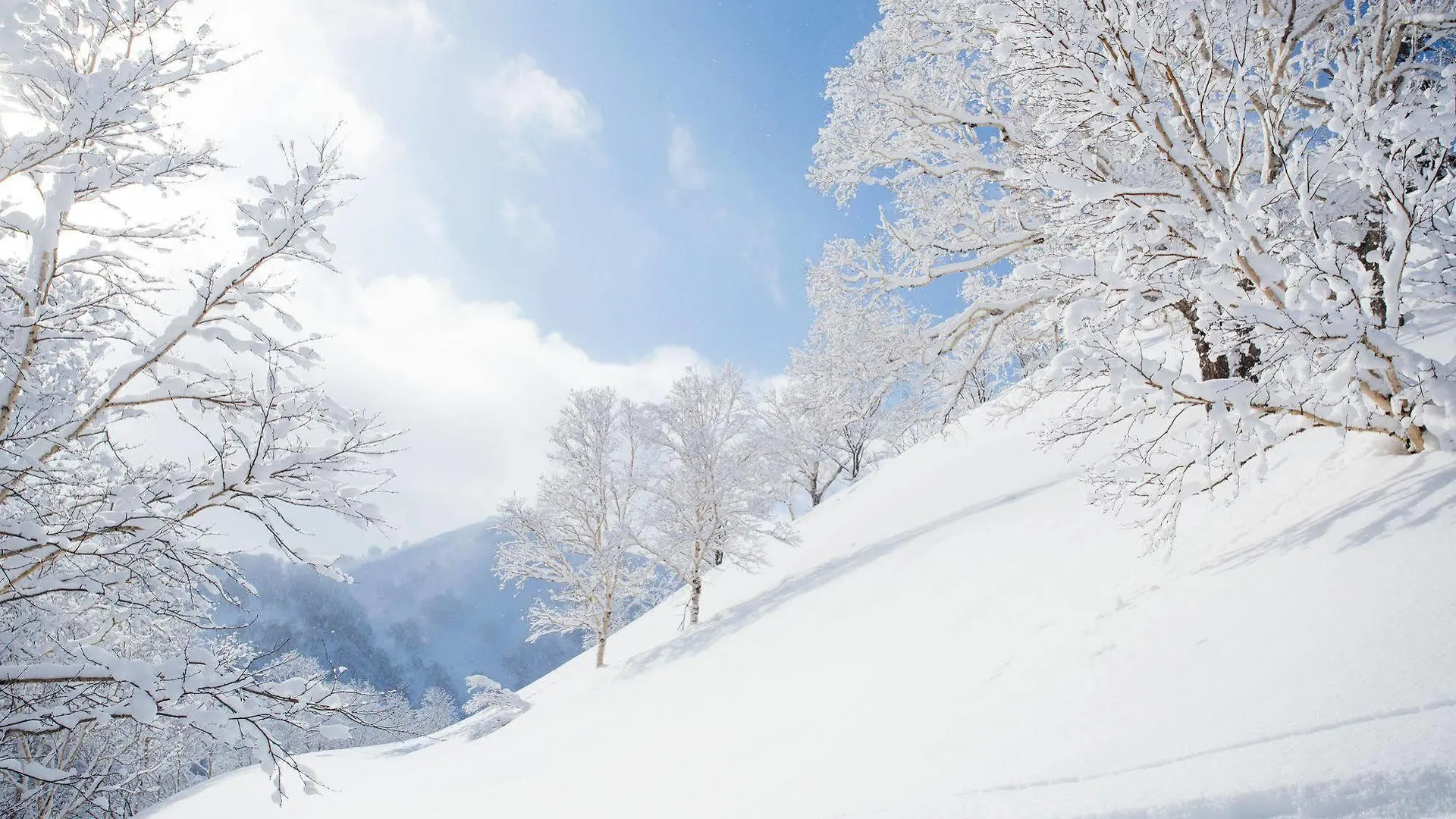 Alpine Central Vila Niseko Alojamento de Turismo Selvagem